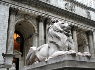 This photo of one of the famous lions that guard the "hallowed halls of information" at the New York Public Library was taken by photographer Thomas Picard of Brooklyn, New York.